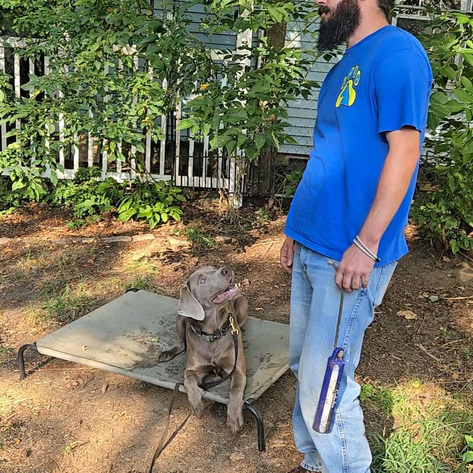 Messenger creation 1283048219859854