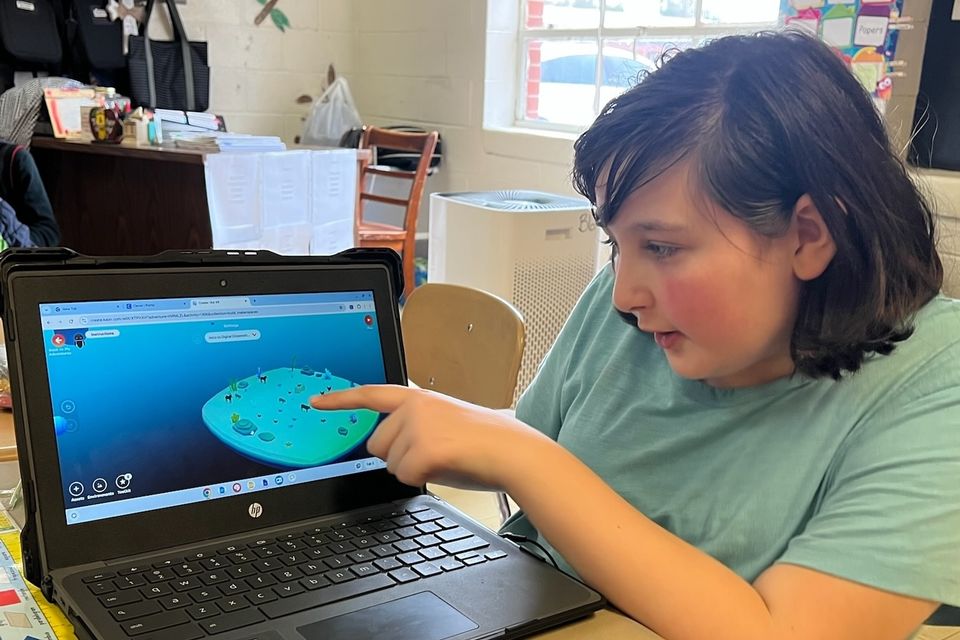 Pic stem no prep summer packages