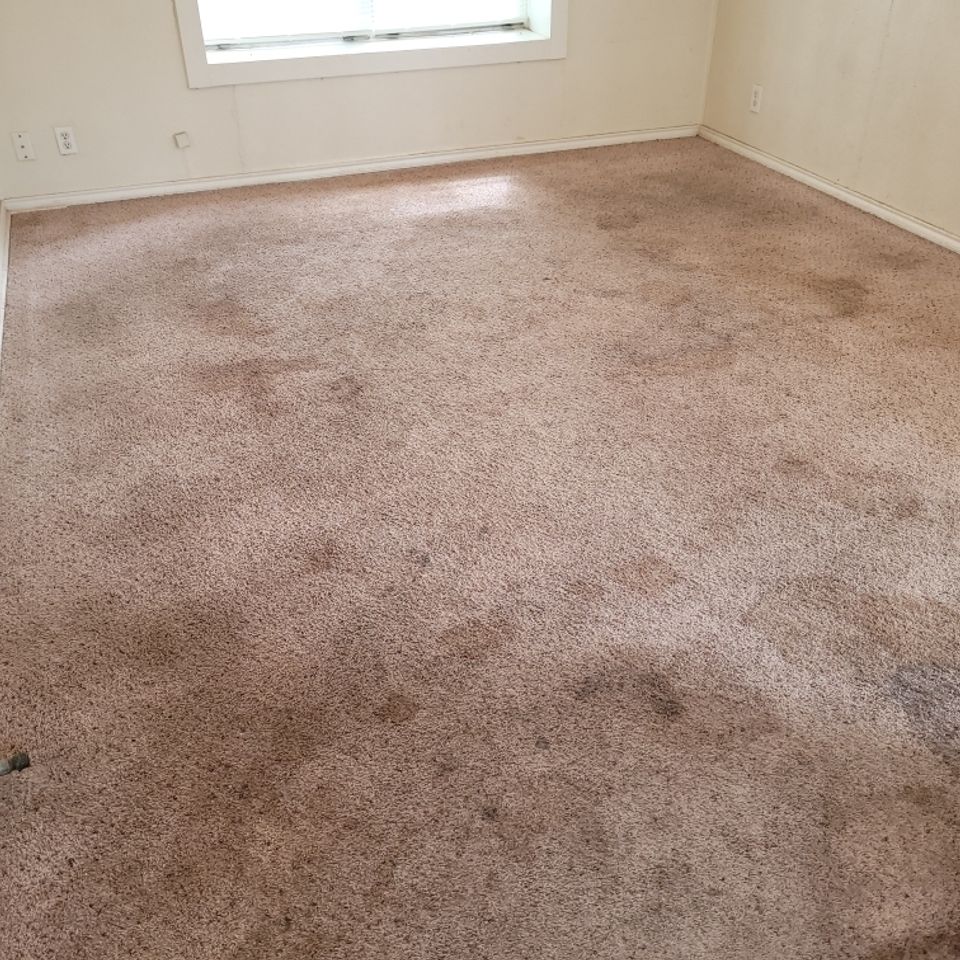 Img 1302