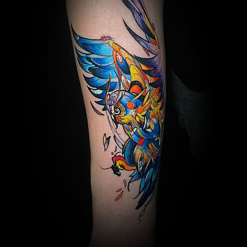 Colorful owl