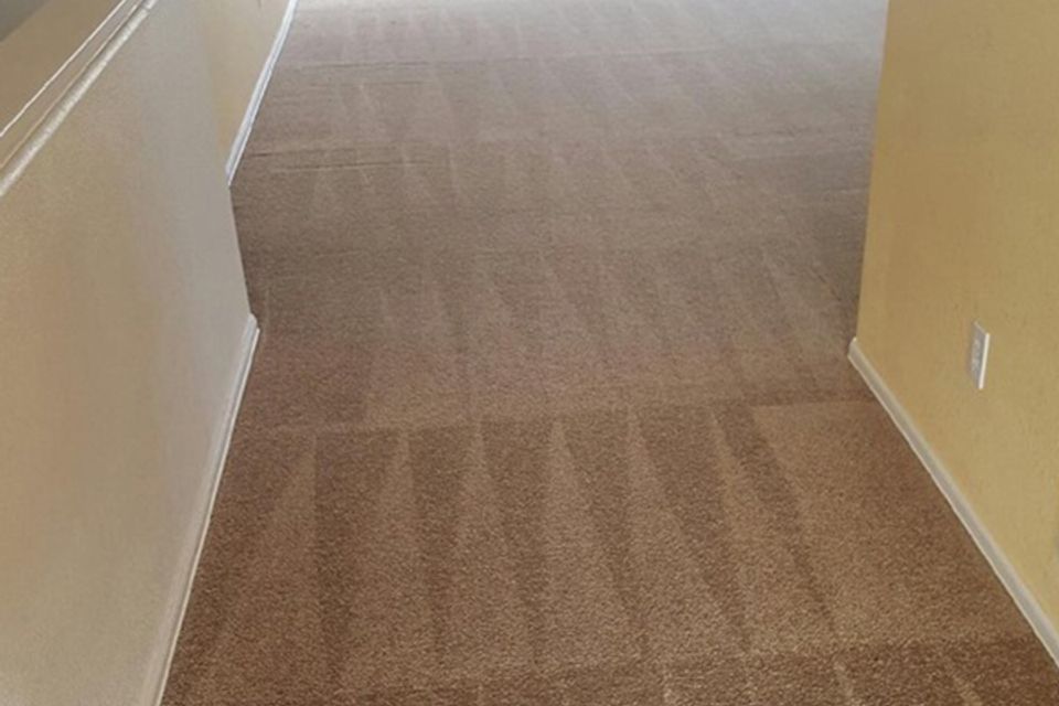 Jones carpet clean image7