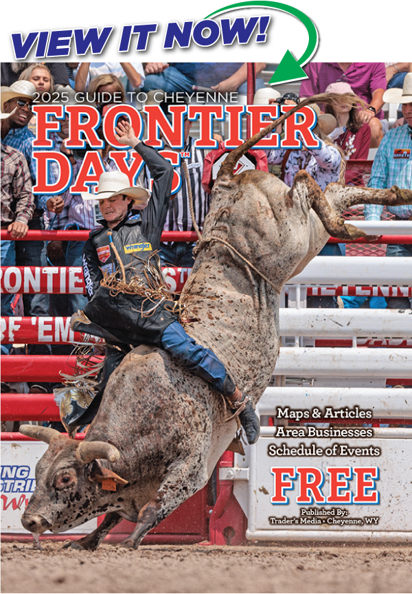 25cfdcover