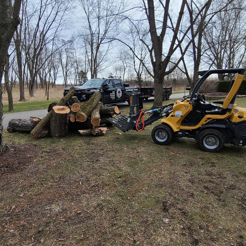 Bobby Tree Care Tree Removal