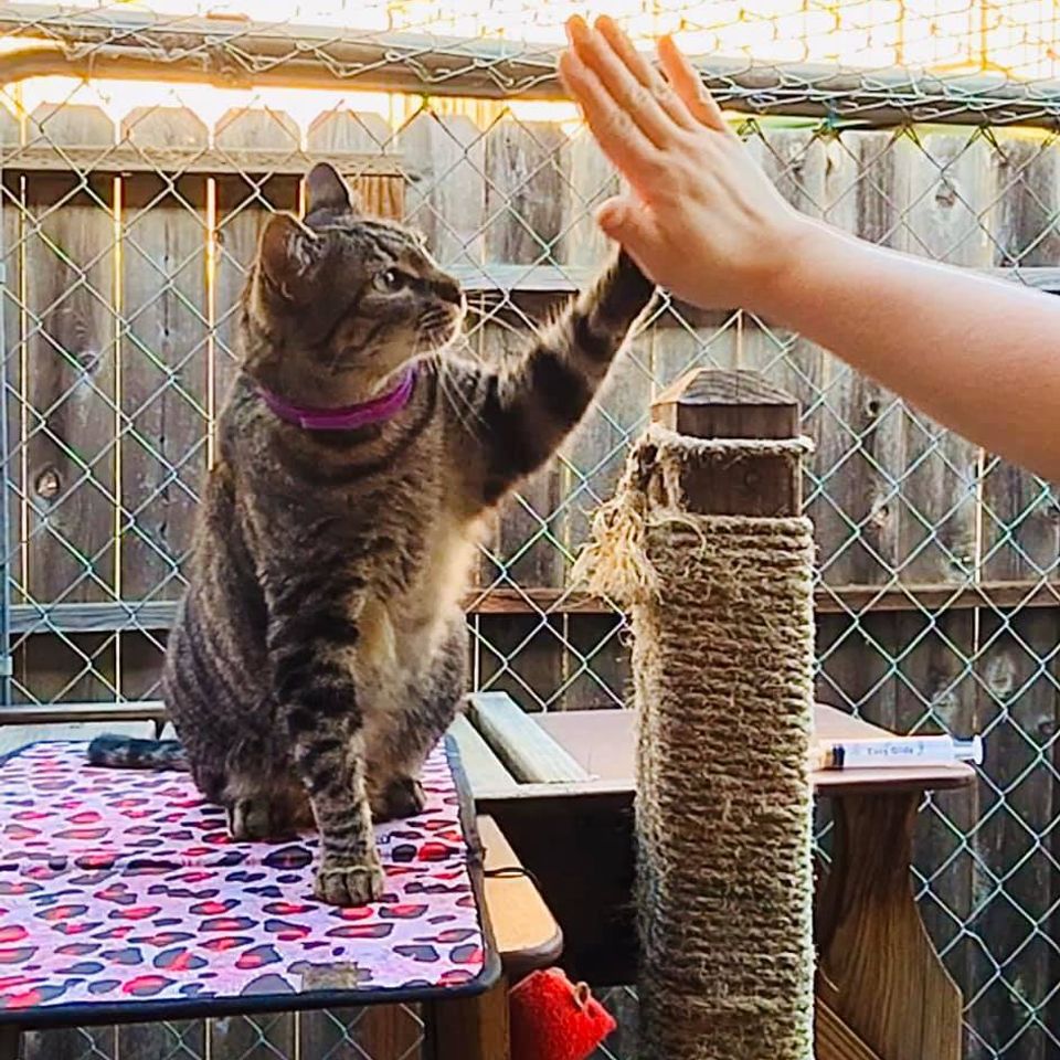 Ridley highfive