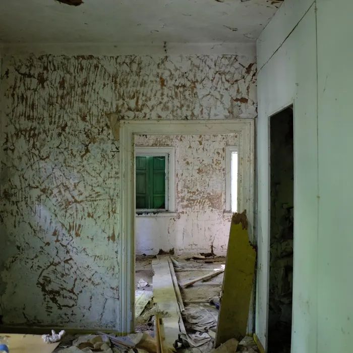 Samuel ryde gx83m8ry5j8 unsplash original