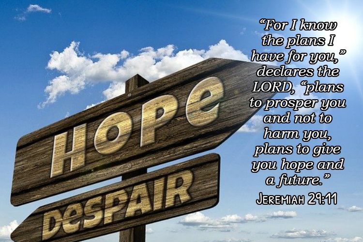 Jeremiah 2911