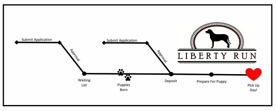 Liberty run application process