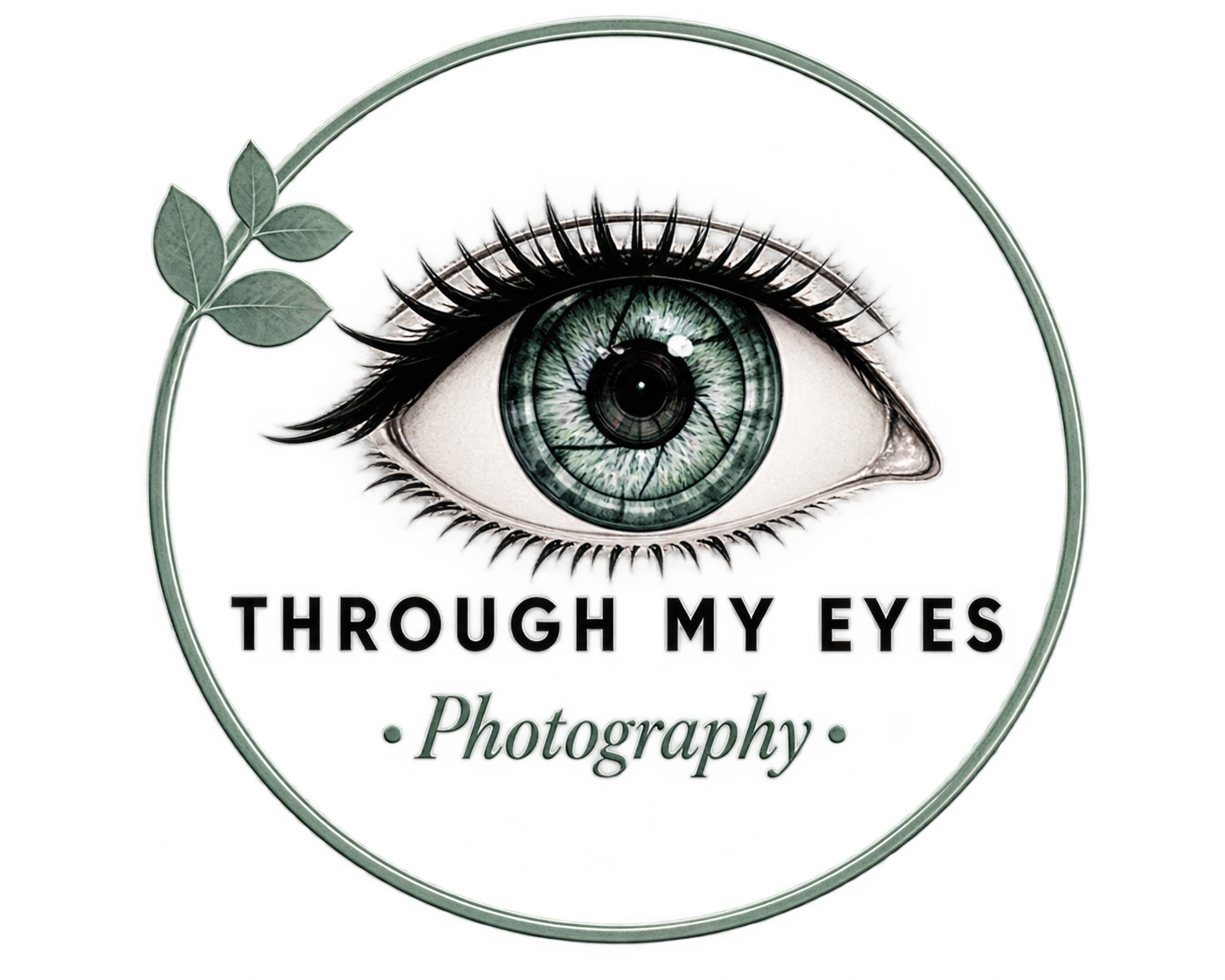 Through My Eyes Photography