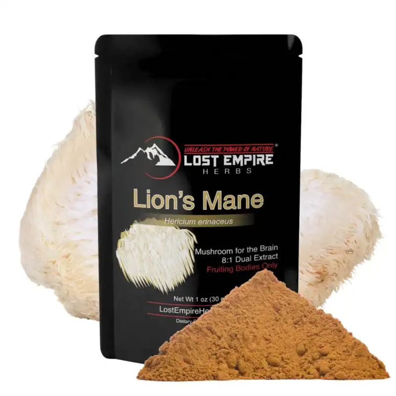 Lions mane powder mushroom 800