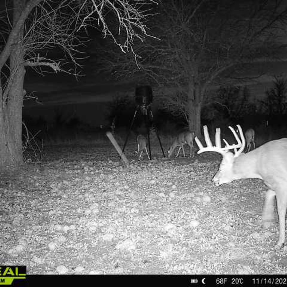 865814044839494 100 4 11142025175732 w1003191