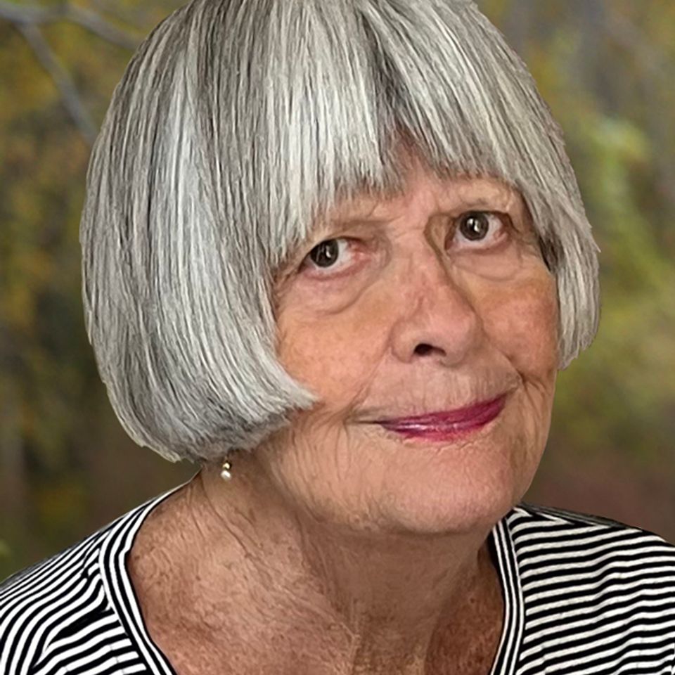 Ann dickinson