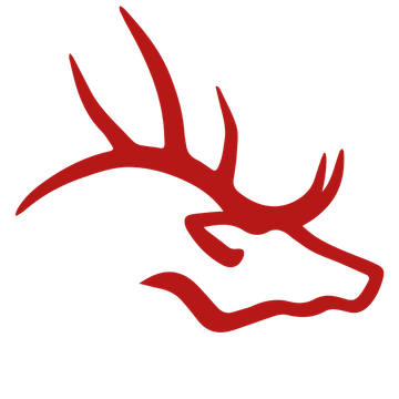 Bhs