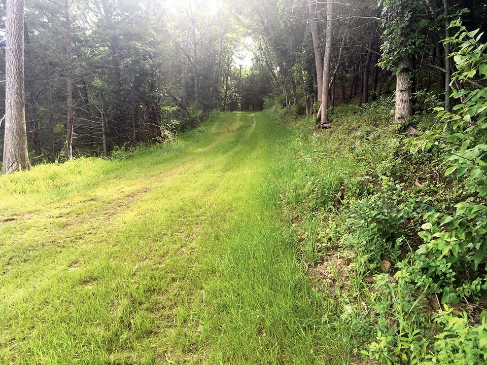 Trail1