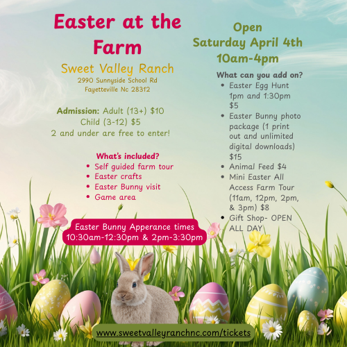 What can you add on easter egg hunt 1pm and 130pm  5 easter bunny photo package (1 print out and unlimited digital downloads)  15 animal feed  4