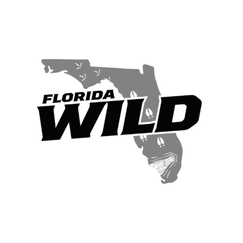 Florida Wild
