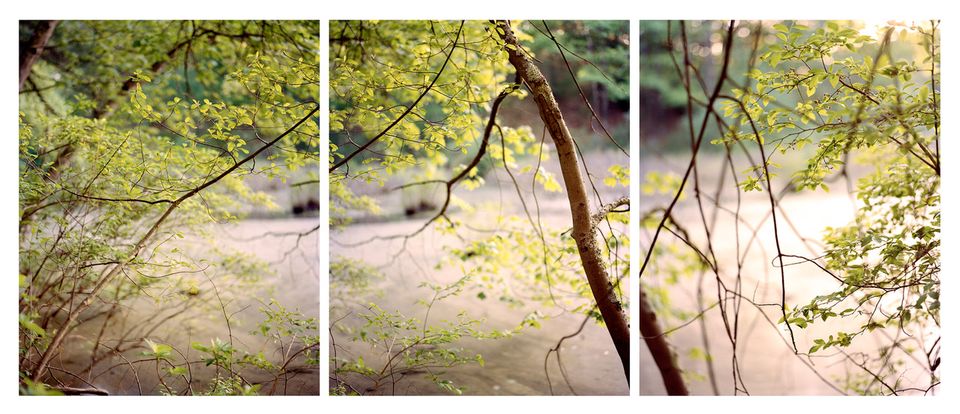 Avcc vernalpools