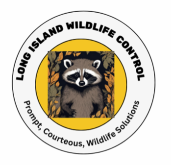 Long Island Wild Life Control