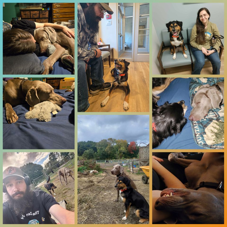 Kobo collage (2)