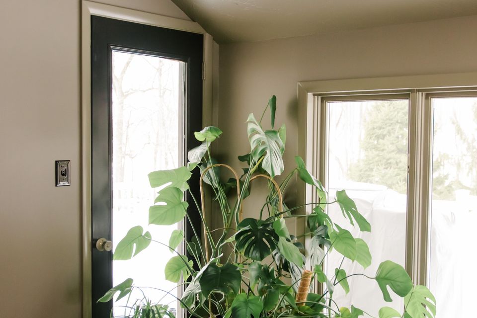 color drench entryway