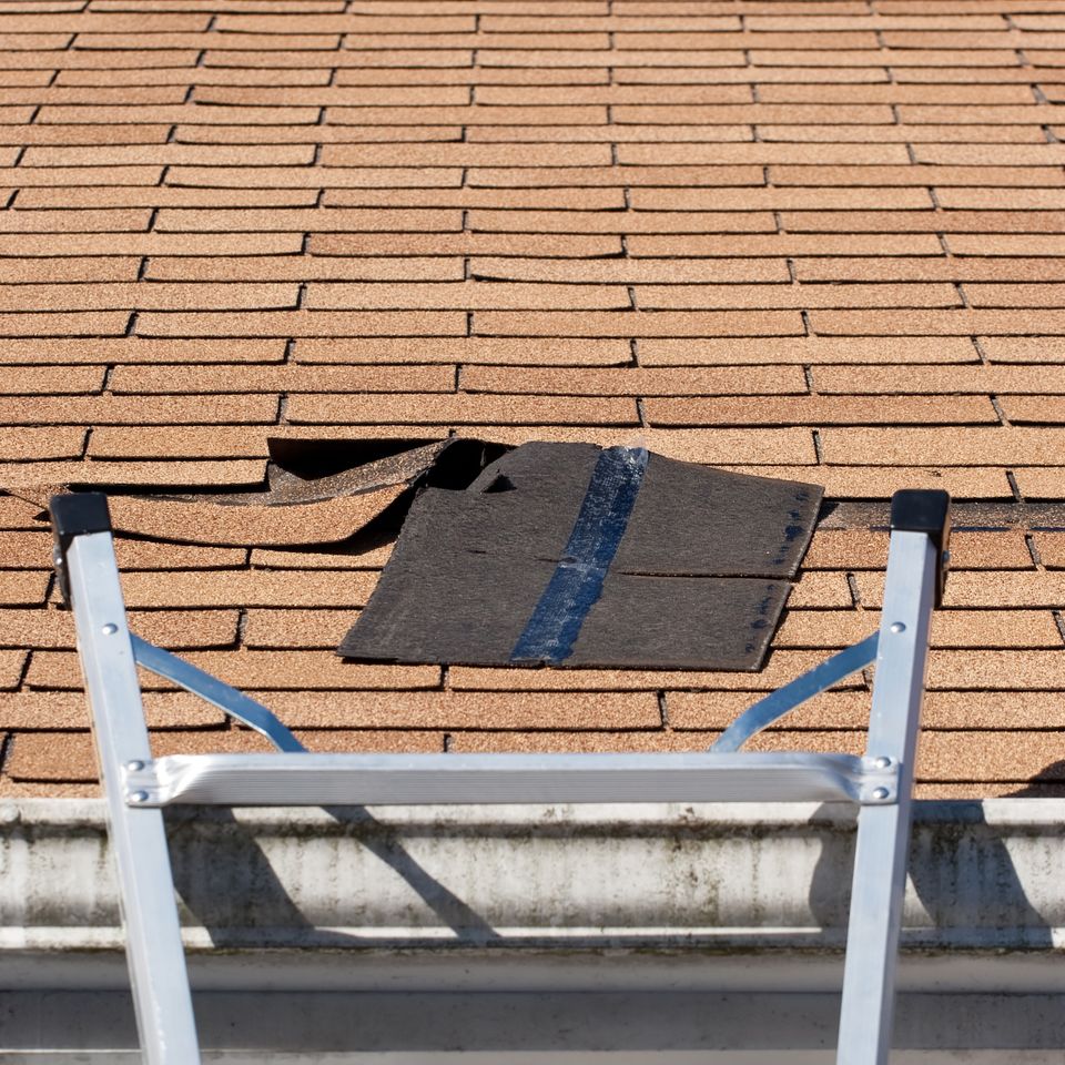 A ladder set up to repair damaged roof shingles a section was blown off after a storm  sbi 301045746