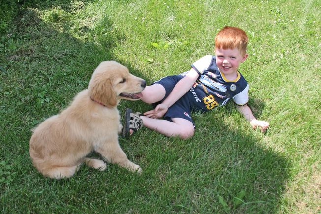 Puppy g80d6f58ee 1920