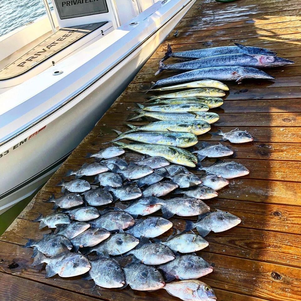 Of6