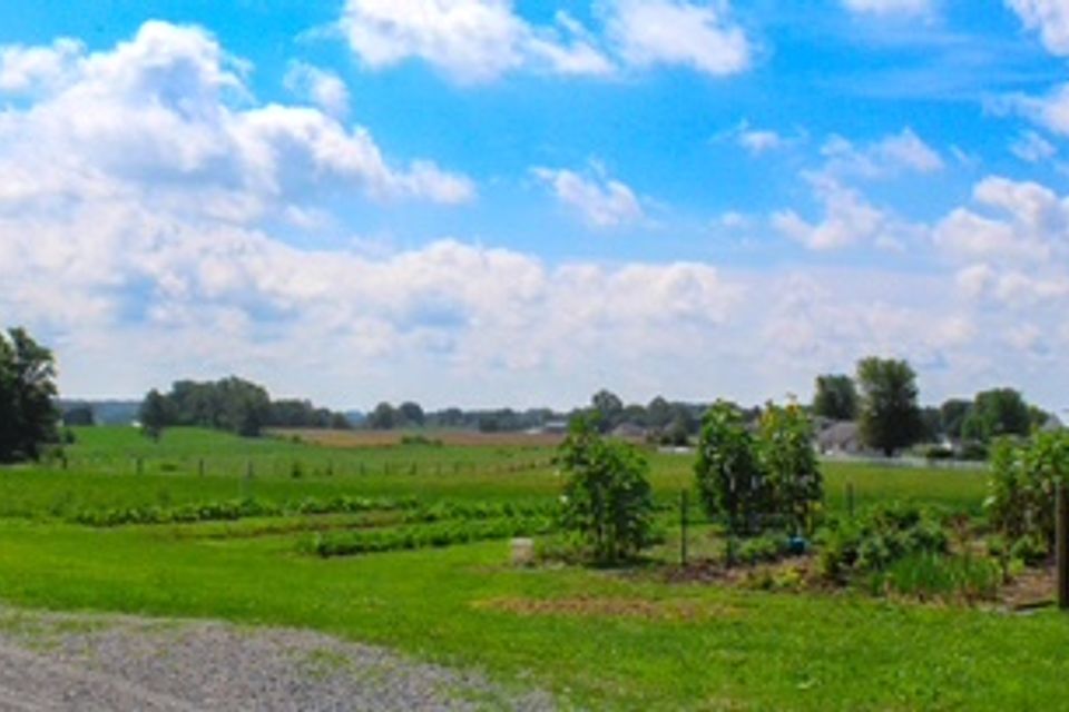 Gfss farm (1)