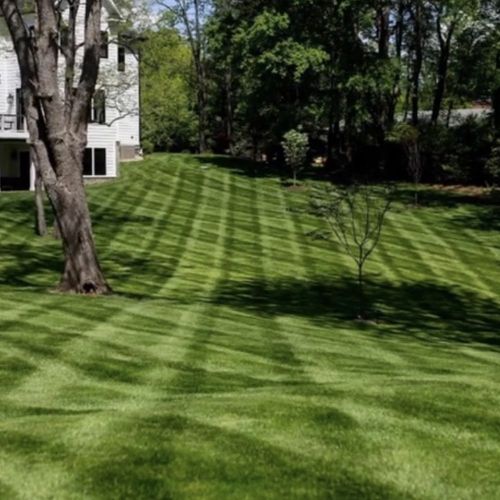 Freshly striped backyard lawn mowed by Mowin N Goin