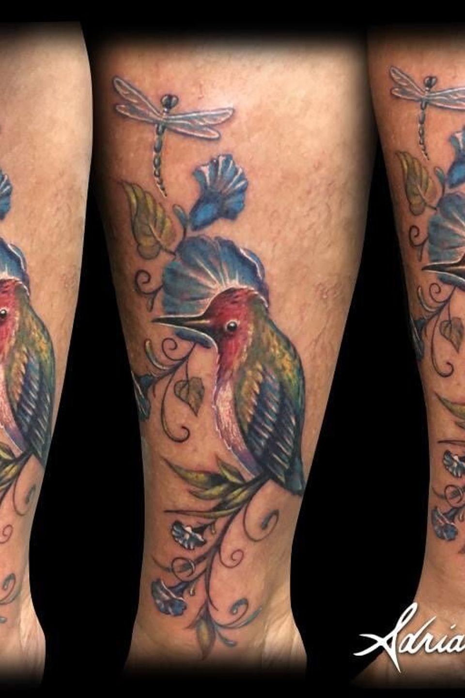 Adrian dragonfly bird