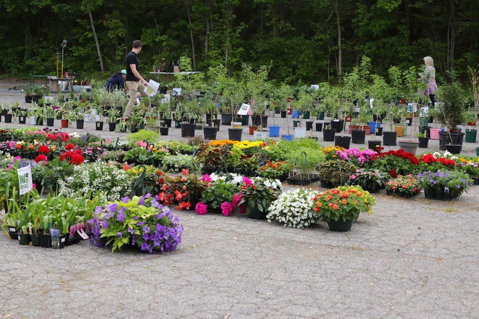 Maynard community gardeners