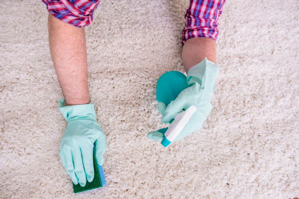A cleaning maid cleaning the stains on a white carpet with a sponge and cleaning spray
