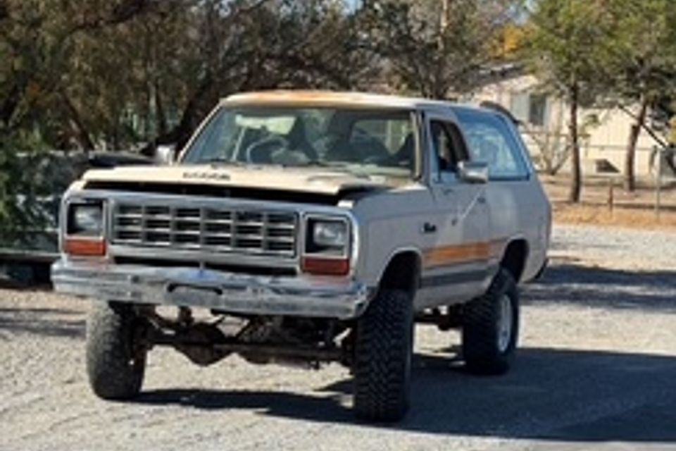 C4c8494e 65ed 4773 9401 b5e33daa51dd