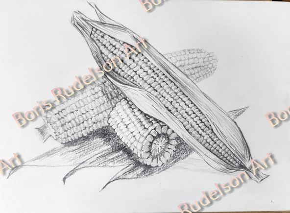 Pencil. Corn