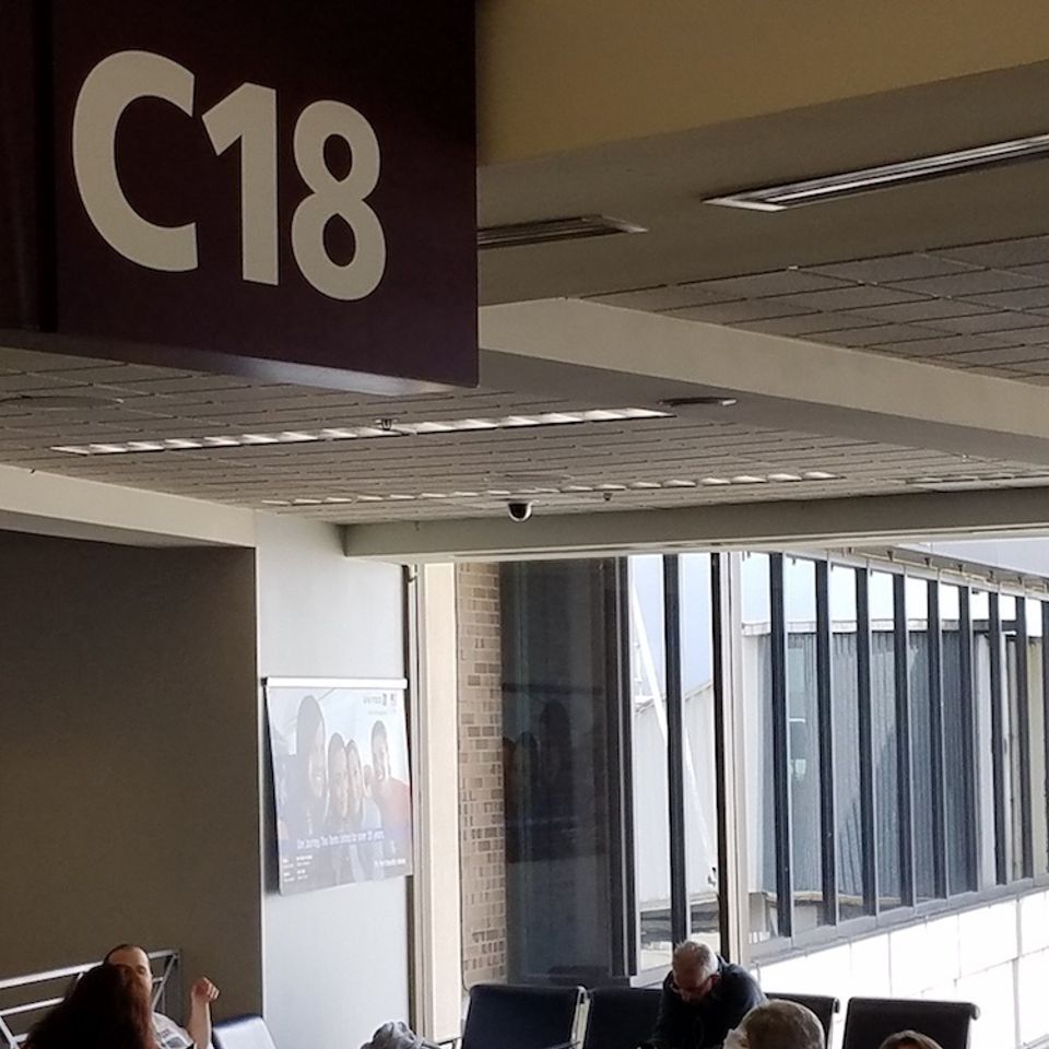 United airlines (3)
