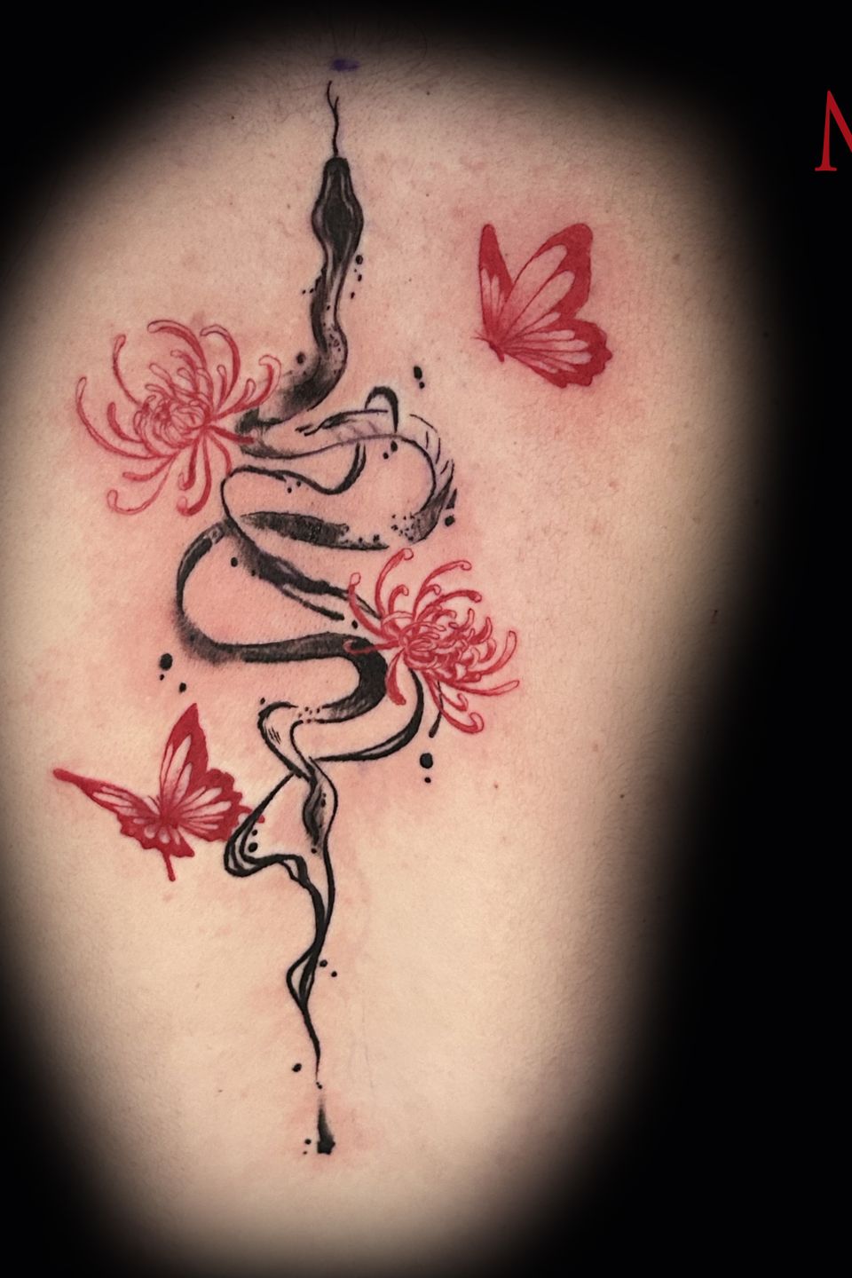 Nick snake butterflies