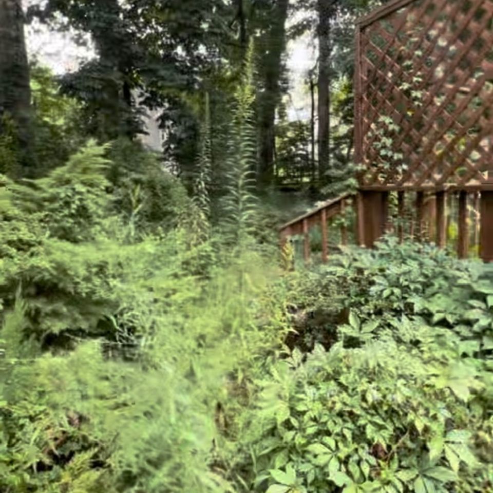 Img 3855