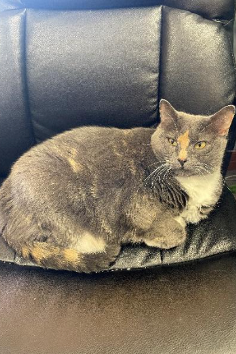 Screenshot 2026 03 11 at 10.00.33 am