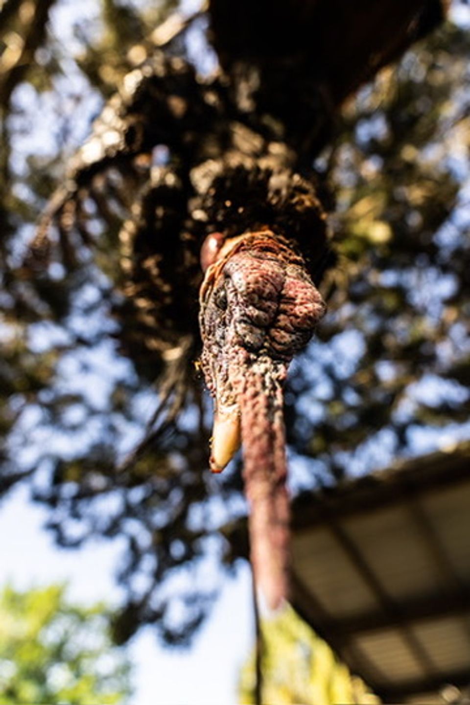 51c6feb2 faf7 40b7 9363 e6ff3a04865d 4 5005 c