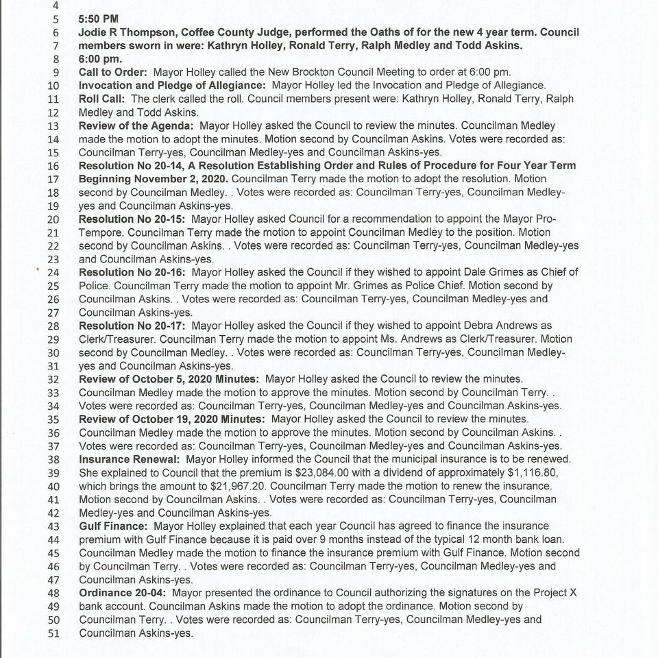 Council meeting november 2  2020 page 1