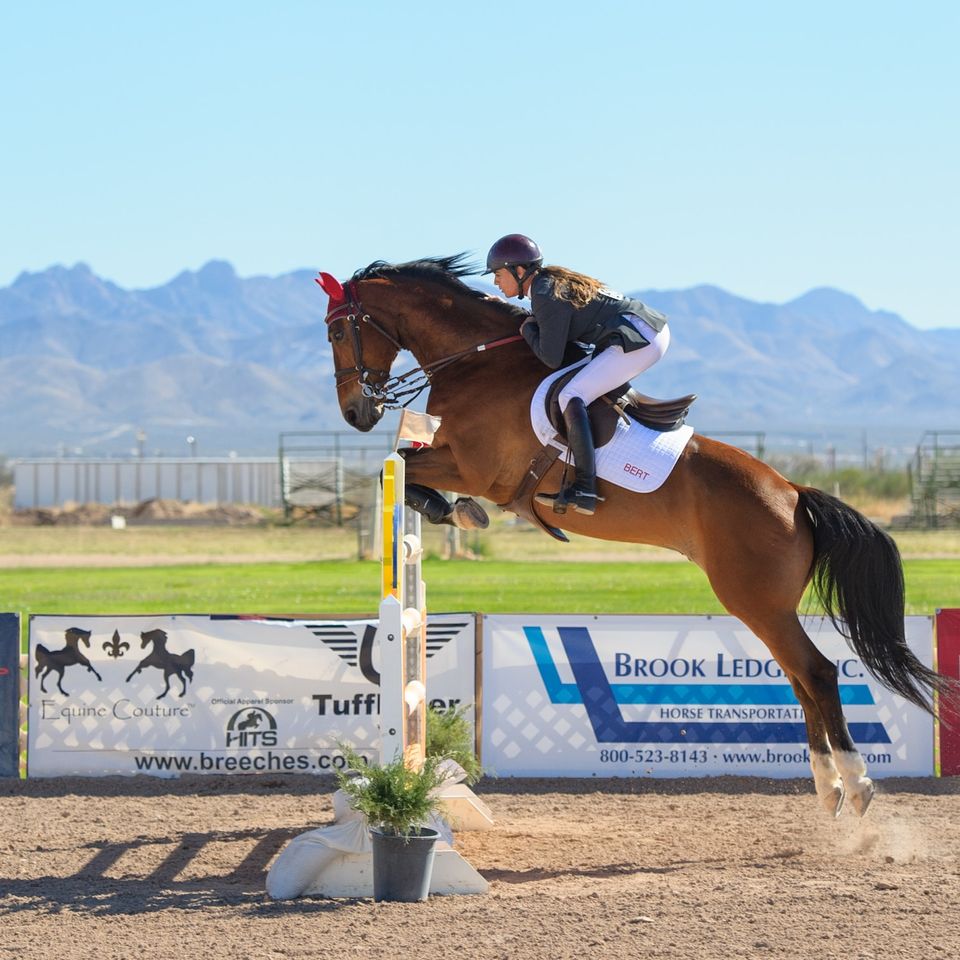 horse riding lessons