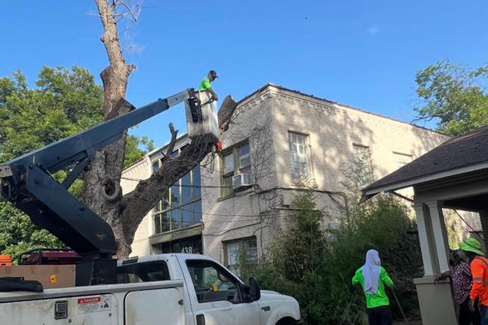 623474473 122099316555240100 2408916317194741272 n