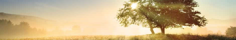 National bereavement day