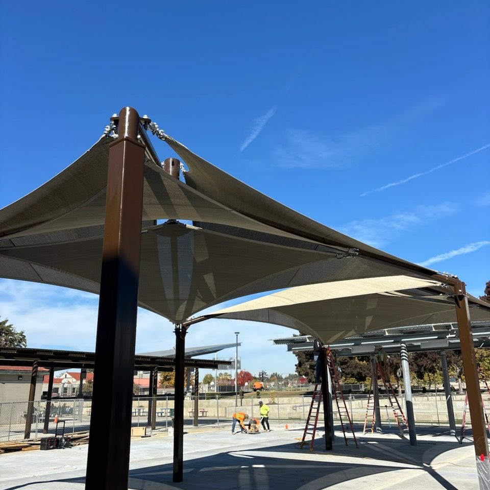 49'x49' (2)