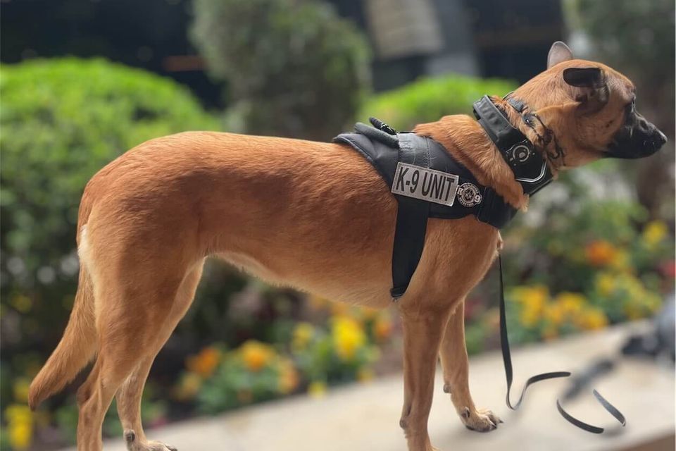 Jpeg image 4d80 b24d 62 0