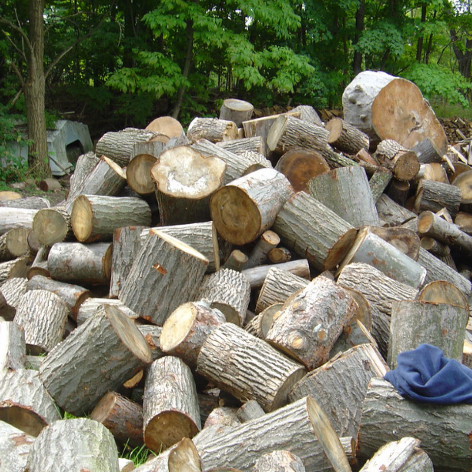 Firewood gallery820180517 735 1wsy150