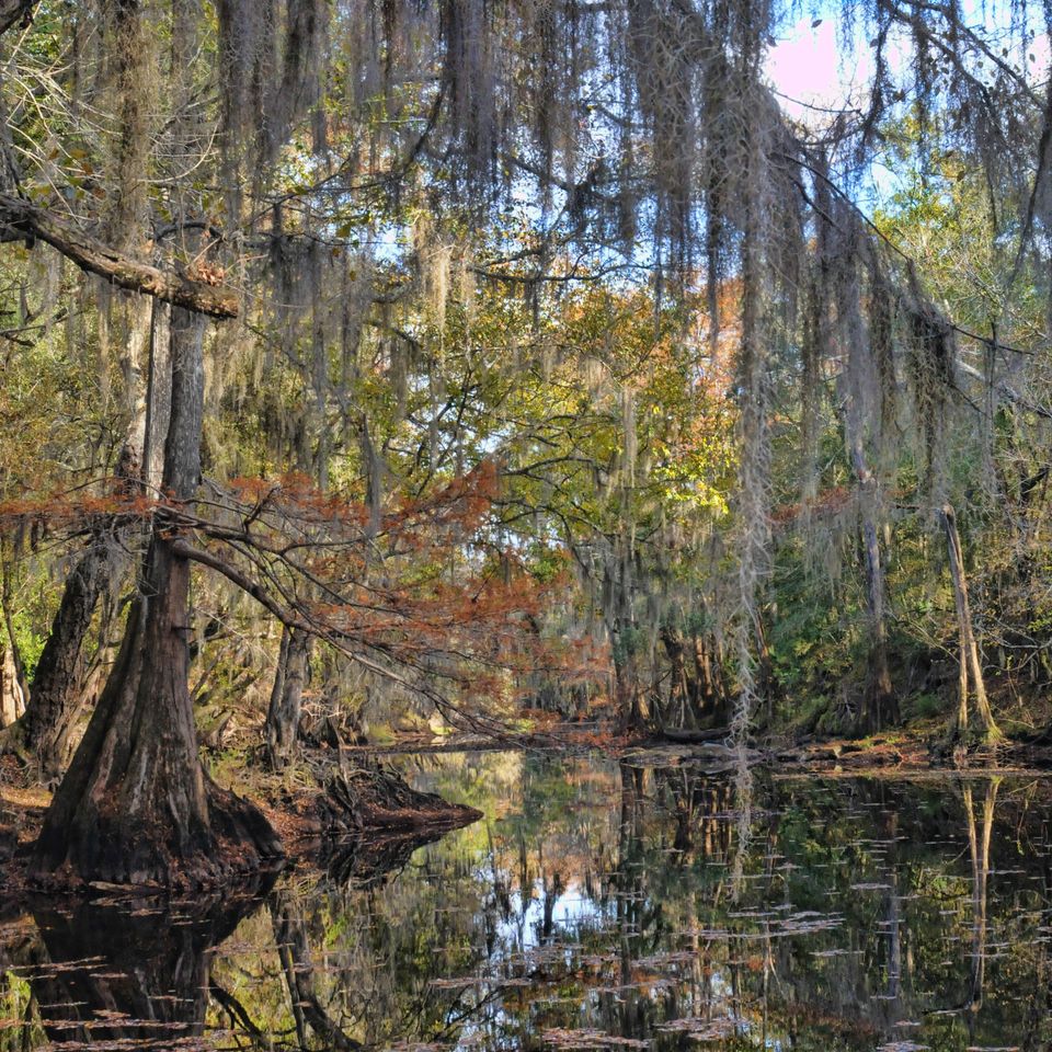Oleno state park 2 5413 edit