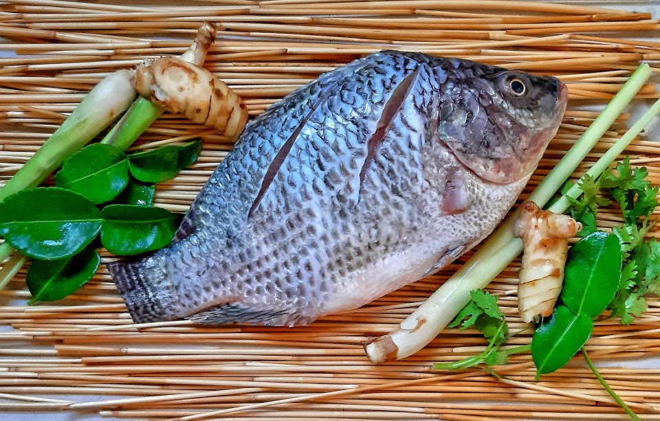 Tilapia g4956674b4 1920