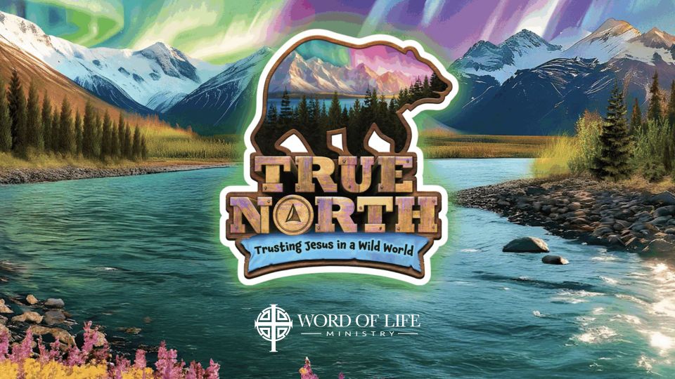 True north vbs ad