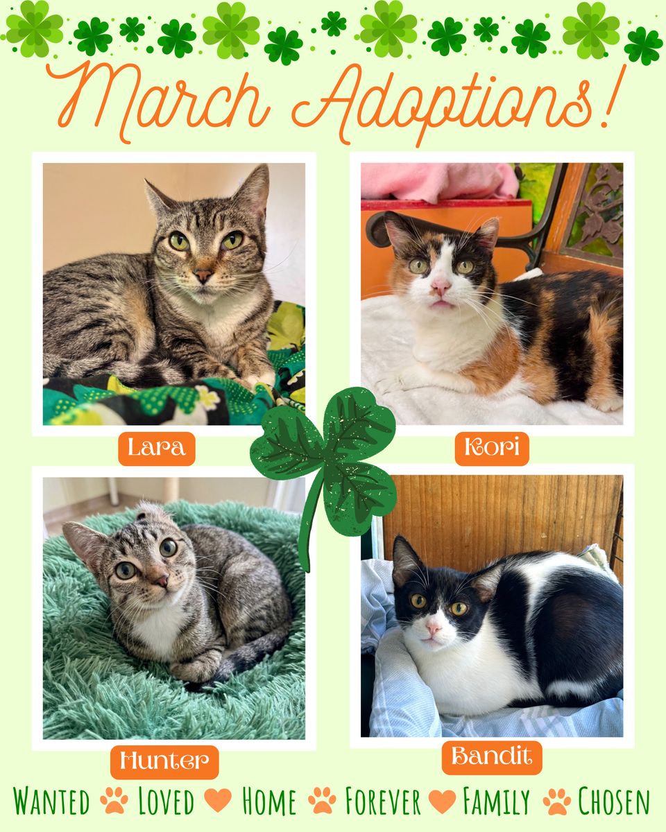 March adoptions!