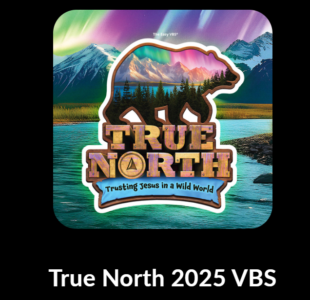 Vbs25